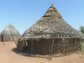 Japanese Porn Video Featuring Daring Dildo Action - Must Watch!